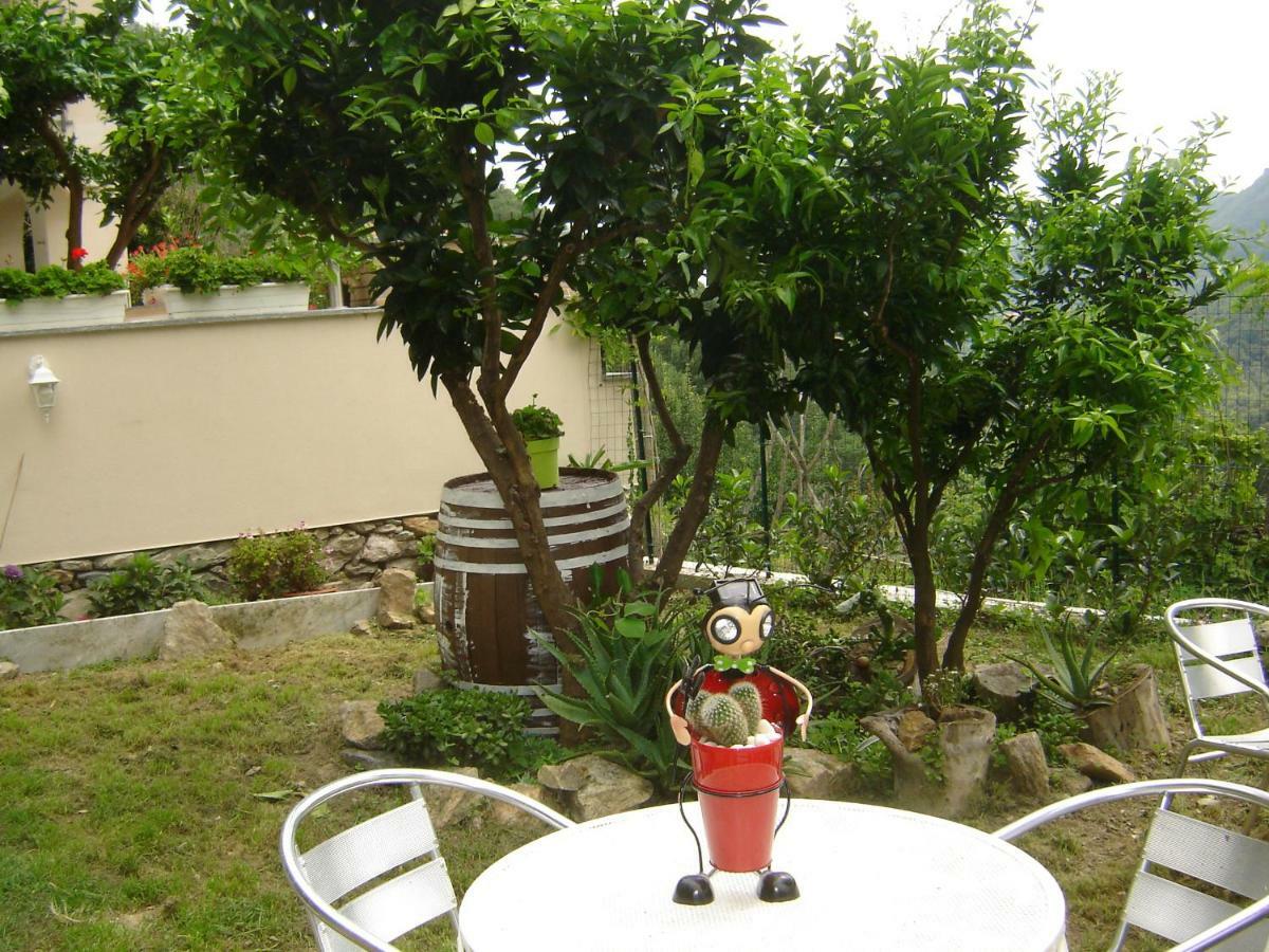 La Dolce Vita B&B Noli Buitenkant foto