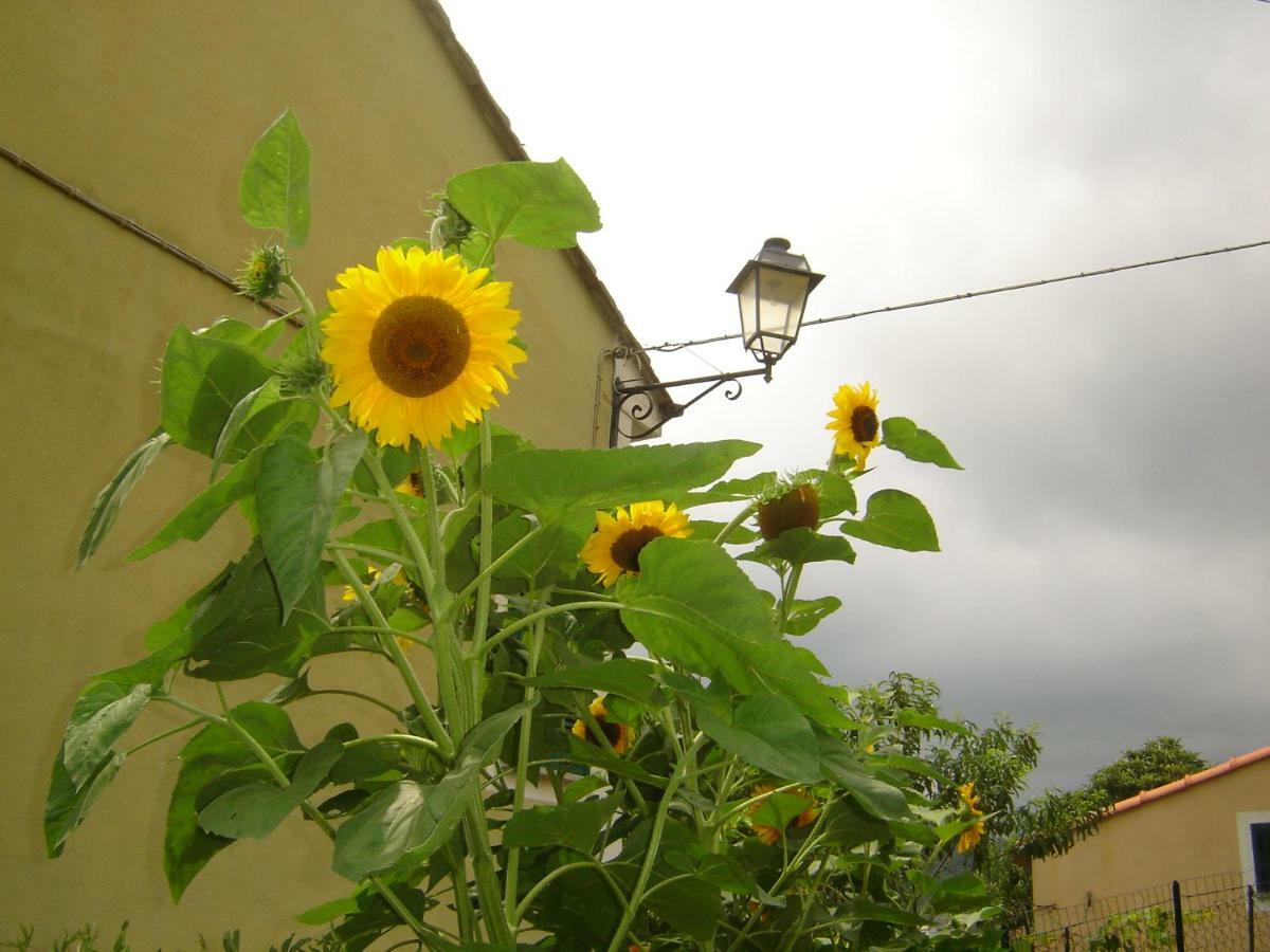 La Dolce Vita B&B Noli Buitenkant foto